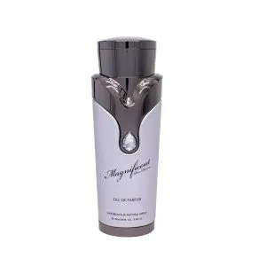 Magnificen Pour Homme 100ml